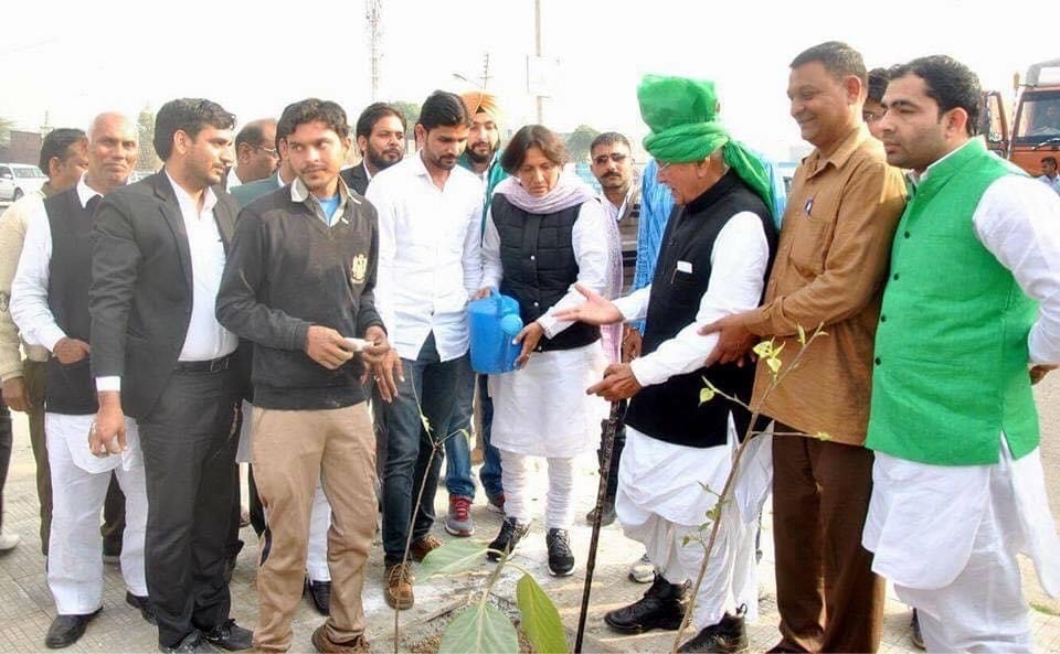 Doing Triveni Plantation